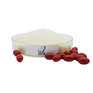 Wholesale Halal Edible Gelatin Powder From Bovine Skin for Gummies 140-260 Bloom
